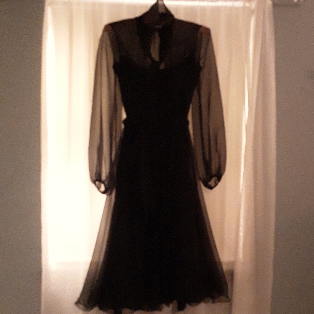 Stunning, sheer sleeves, black dress.